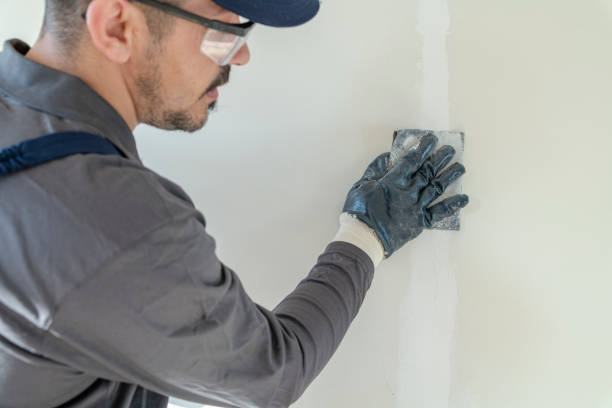 Mold Remediation for Vacation Homes in Haynesville, LA
