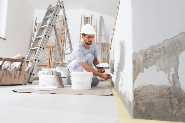 Best Mold Documentation for Insurance Claims  in Haynesville, LA