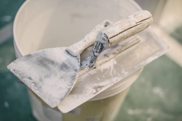 Professional Mold Removal in Haynesville, LA