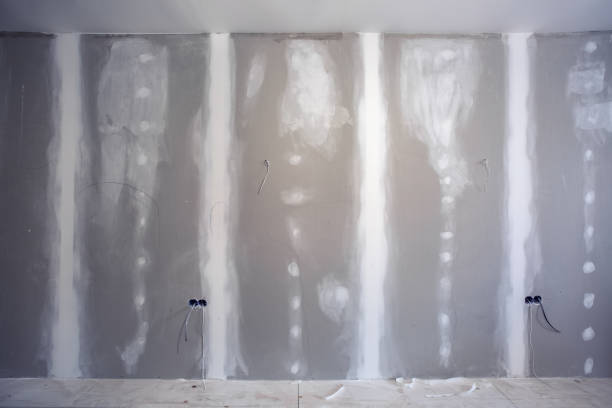 Best Attic Mold Removal  in Haynesville, LA